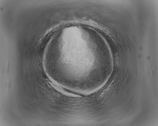 X0000073701494200608031201