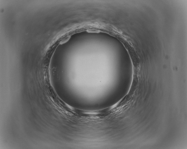 X0000073701496200608031201