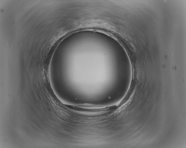 X0000073701497200608031201