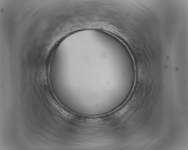 X0000073701498200608031201