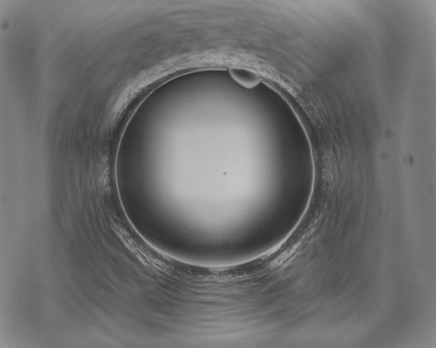 X0000073701499200608031201