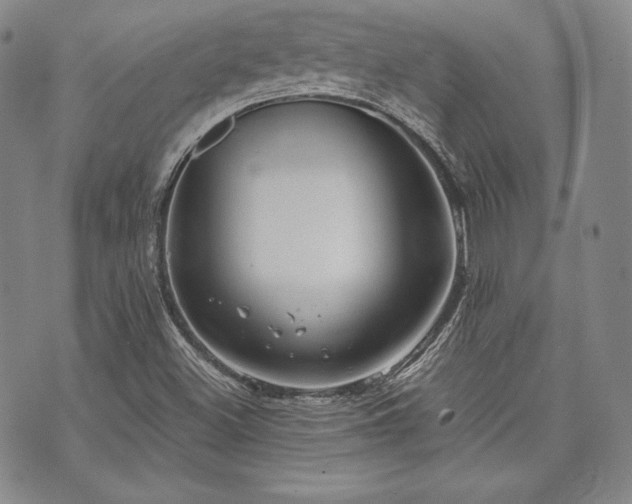 X0000073701500200608031201