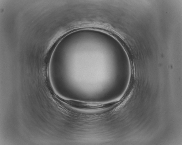 X0000073701501200608031201