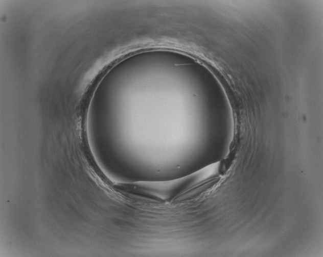 X0000073701503200608031201