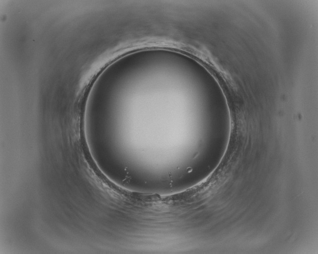 X0000073701504200608031201