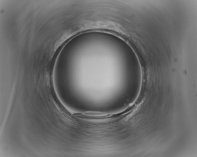 X0000073701505200608031201