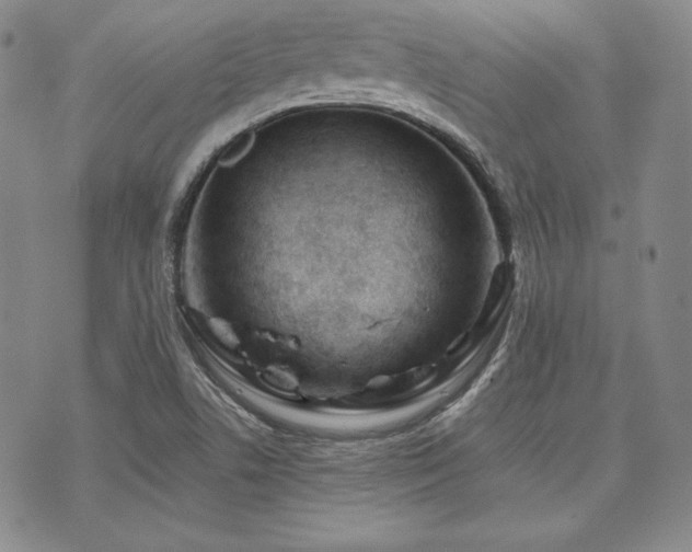 X0000073701506200608031201