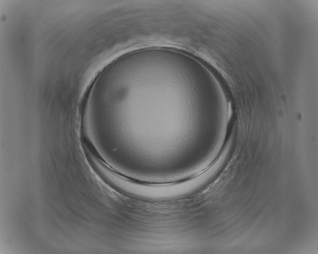 X0000073701508200608031201