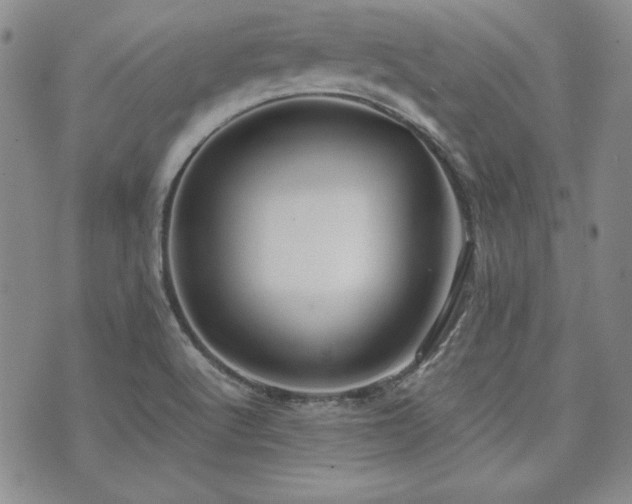 X0000073701512200608031201