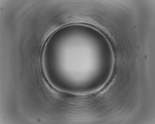 X0000073701513200608031201