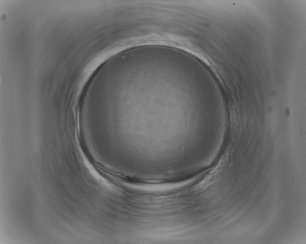 X0000073701515200608031201