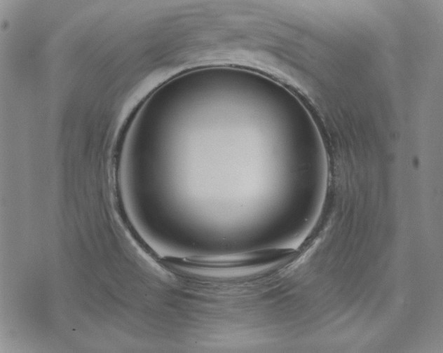 X0000073701517200608031202