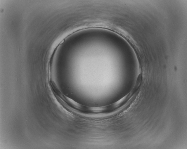 X0000073701520200608031202