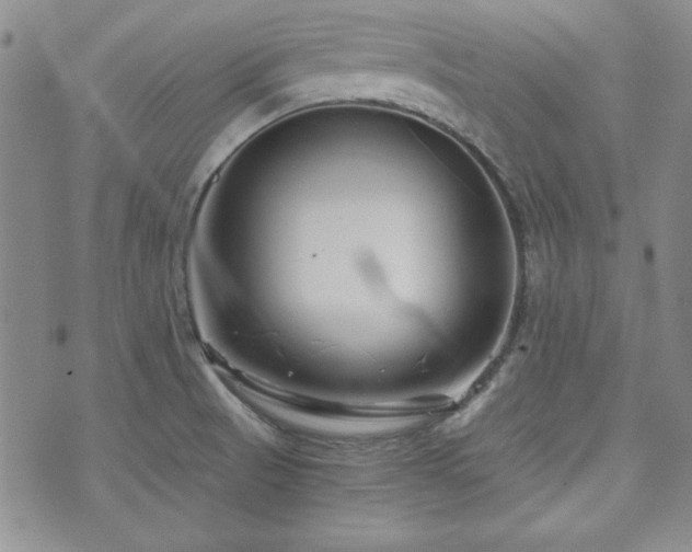 X0000073701521200608031202