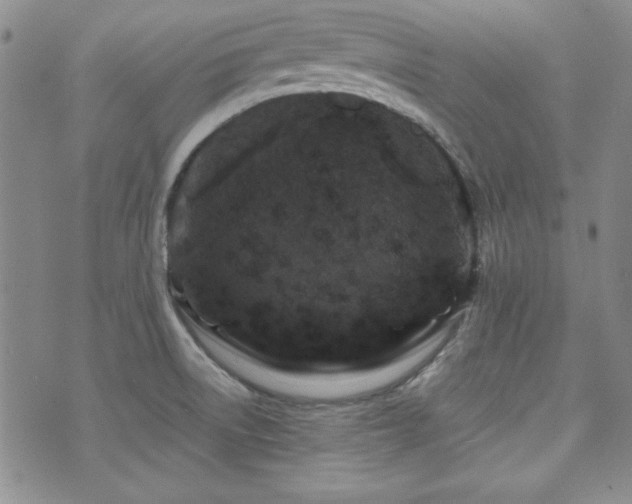 X0000073701522200608031202