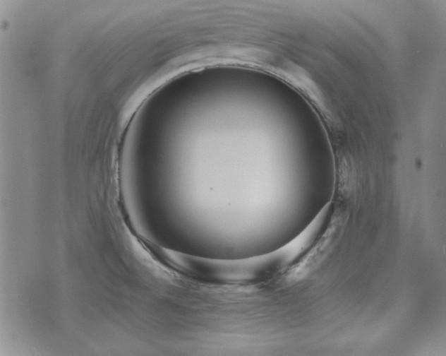 X0000073701524200608031202