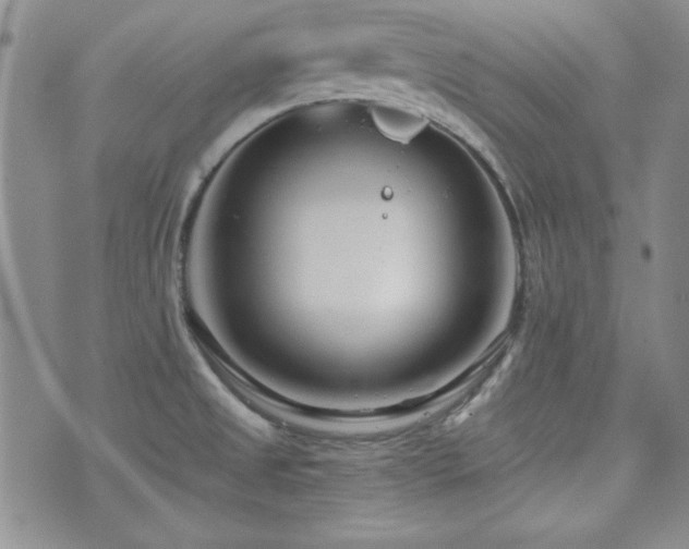 X0000073701525200608031202