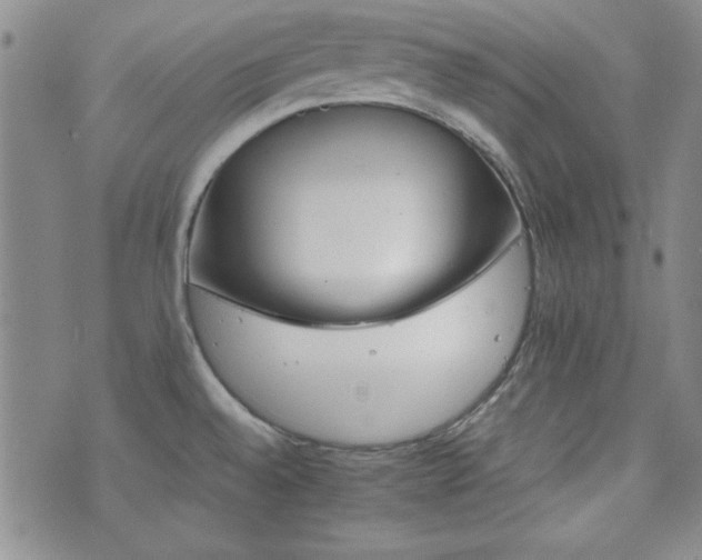 X0000073701528200608031202