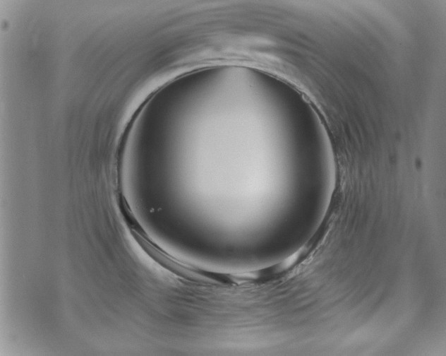 X0000073701531200608031202