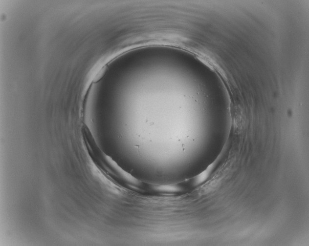 X0000073701532200608031202