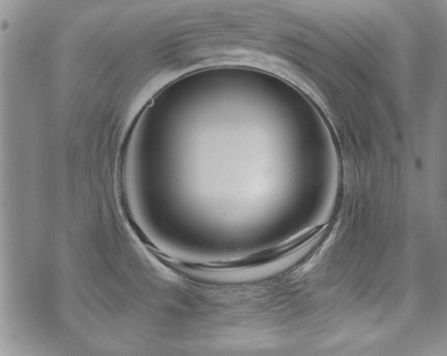 X0000073701533200608031202