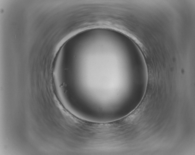 X0000073701534200608031202