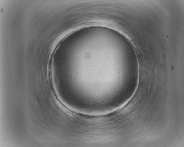 X0000073701535200608031202