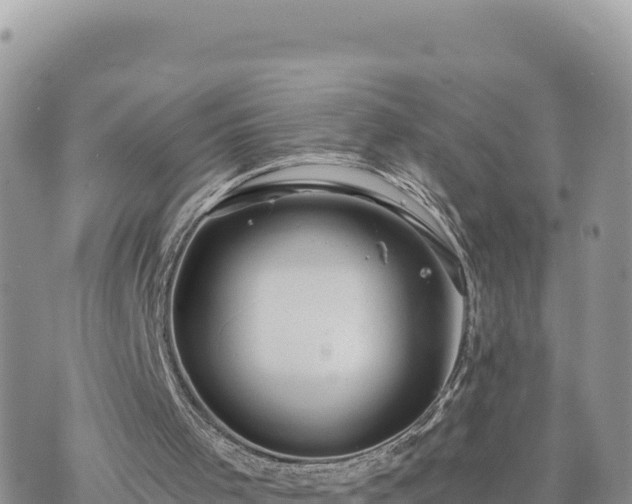 X0000073700001200608101825