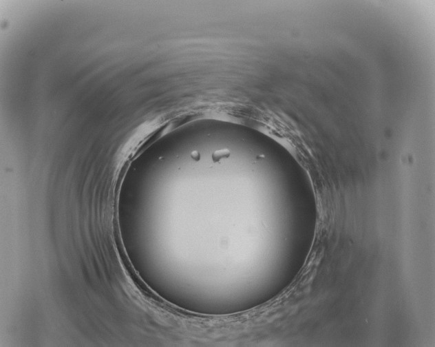 X0000073700003200608101825