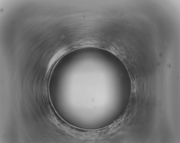 X0000073700004200608101825