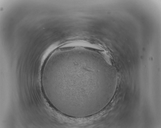 X0000073700006200608101825