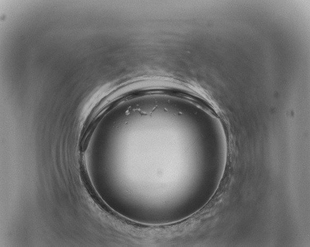 X0000073700007200608101825