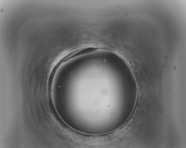 X0000073700008200608101825