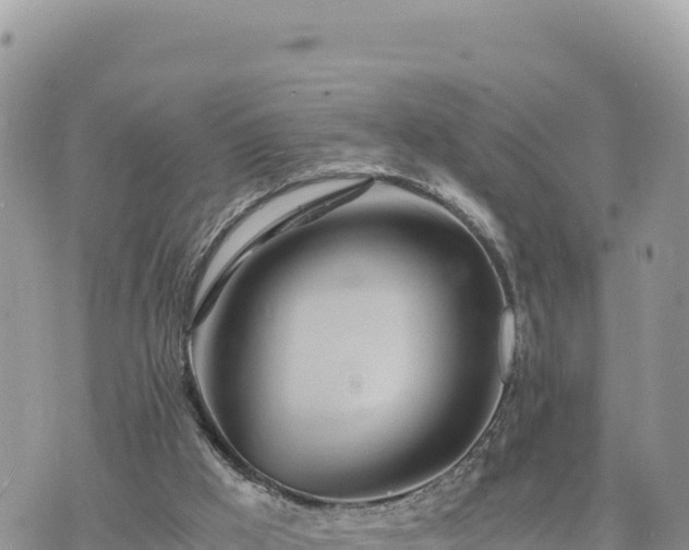 X0000073700009200608101825