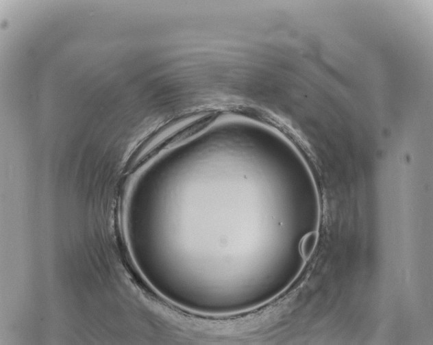 X0000073700010200608101825