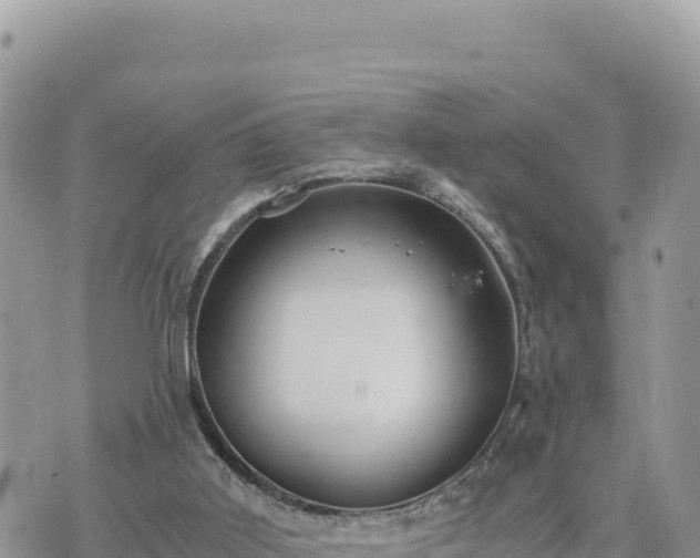 X0000073700011200608101825