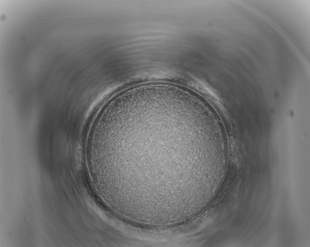 X0000073700012200608101825