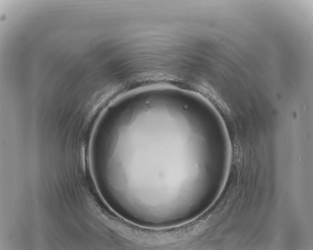 X0000073700014200608101825