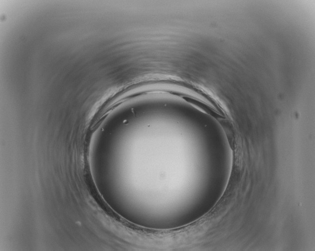 X0000073700015200608101825