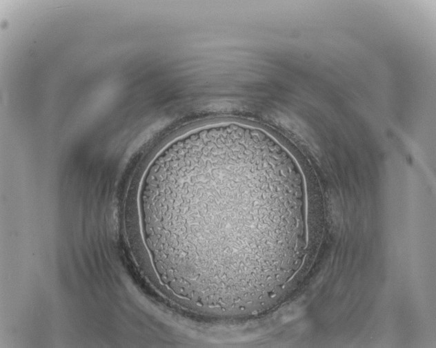 X0000073700016200608101825