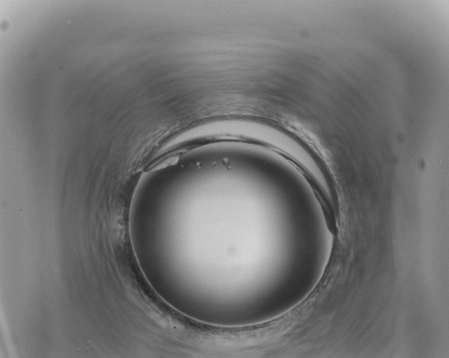 X0000073700017200608101825