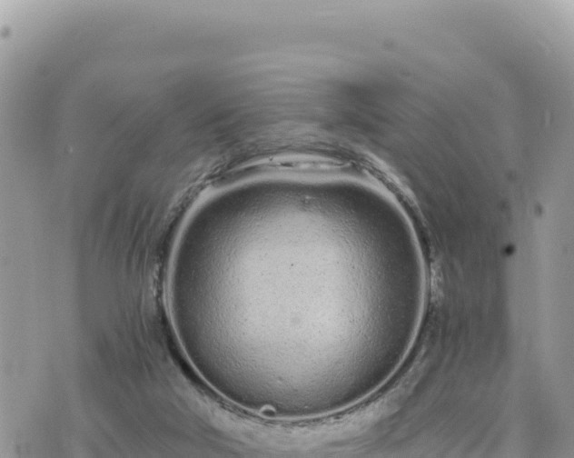 X0000073700018200608101825