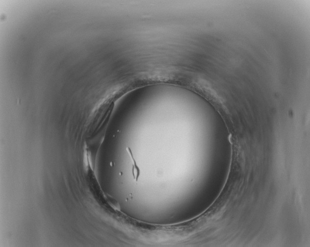 X0000073700020200608101825