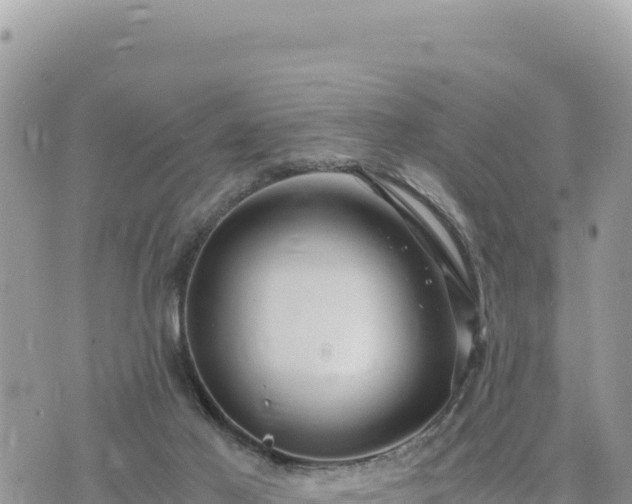 X0000073700021200608101825