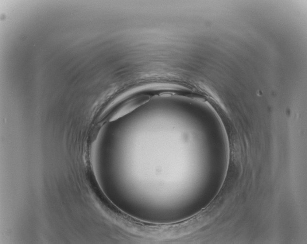 X0000073700023200608101825