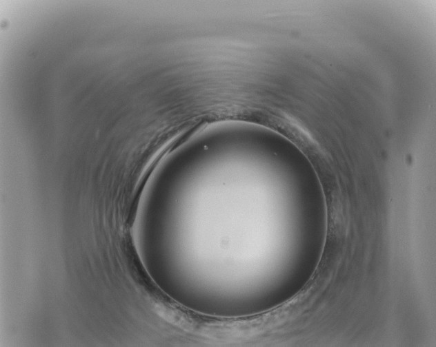 X0000073700025200608101825