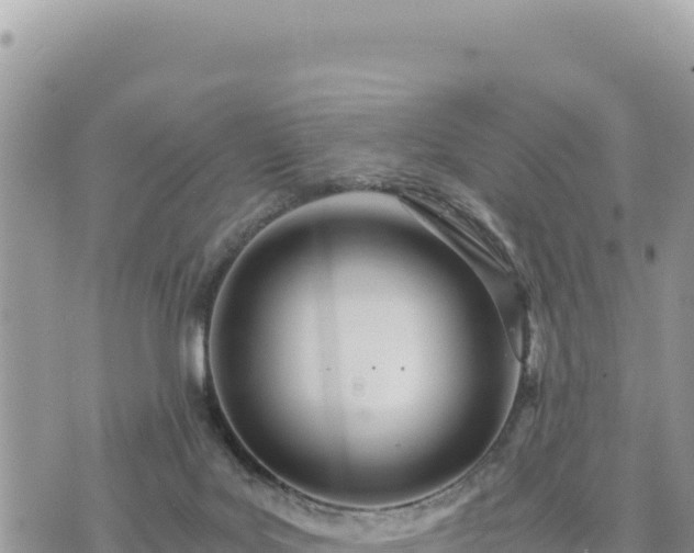 X0000073700027200608101825