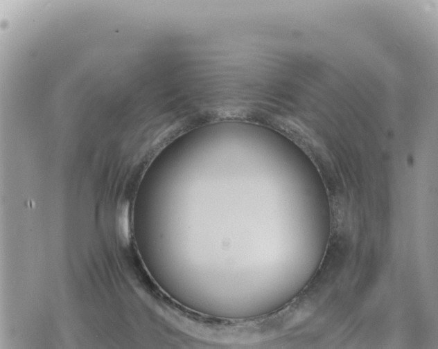 X0000073700028200608101825