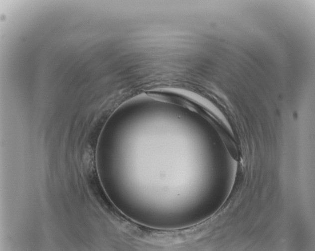 X0000073700029200608101825