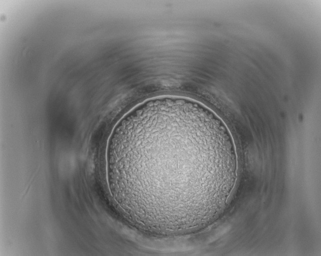 X0000073700032200608101825